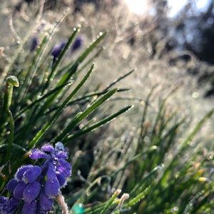 Meet your Posher, Avery